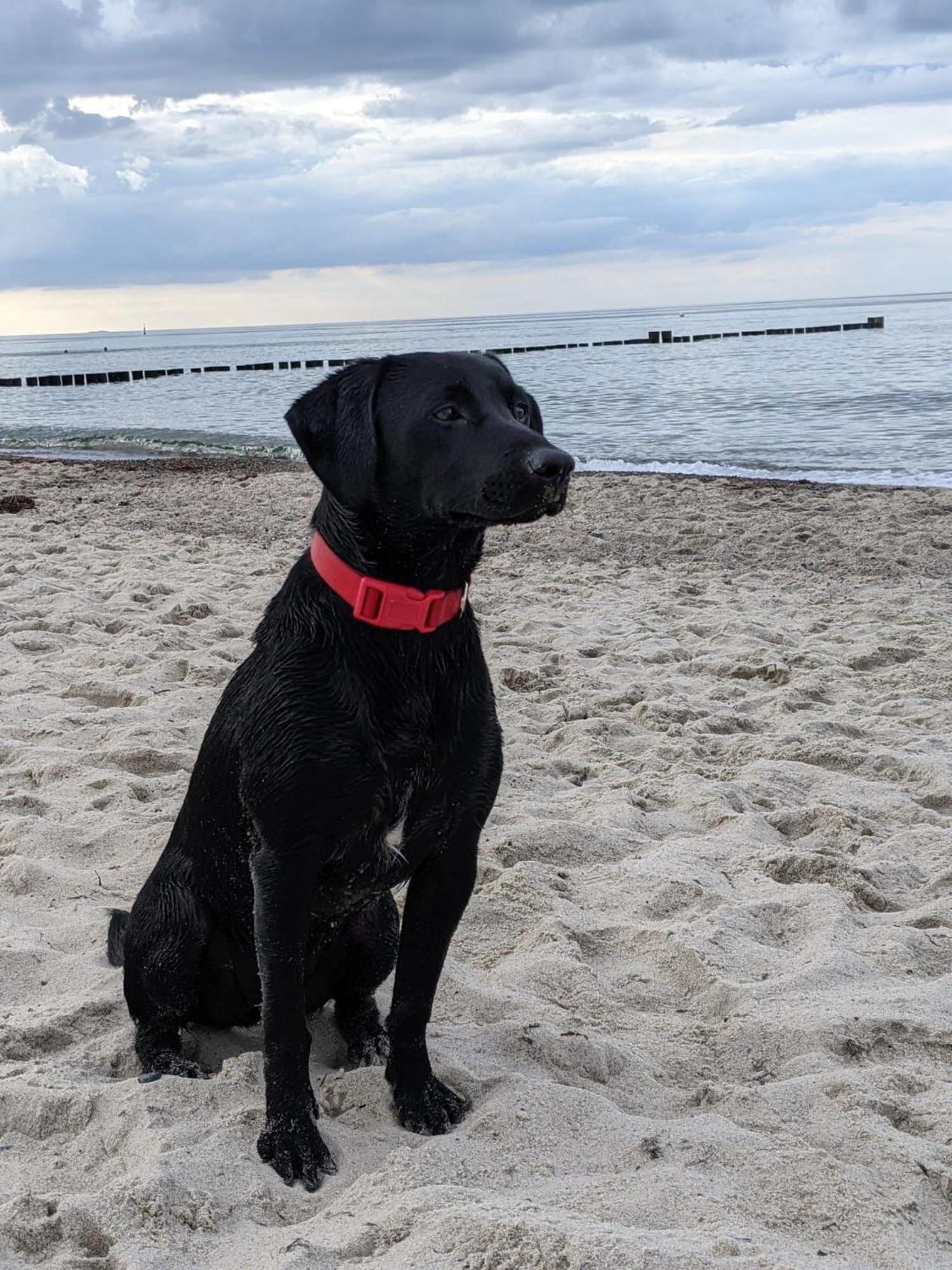 Appartamento Karlotta Ostseebad Kühlungsborn Esterno foto